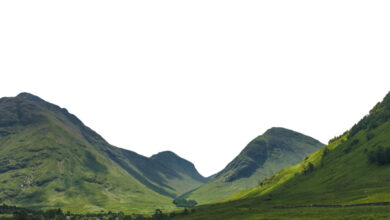 Photo of Протеин для активного образа жизни