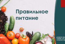 Photo of Протеиновая диета: правильное питание для спортсменов