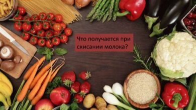 Photo of Протеин как основа здорового питания